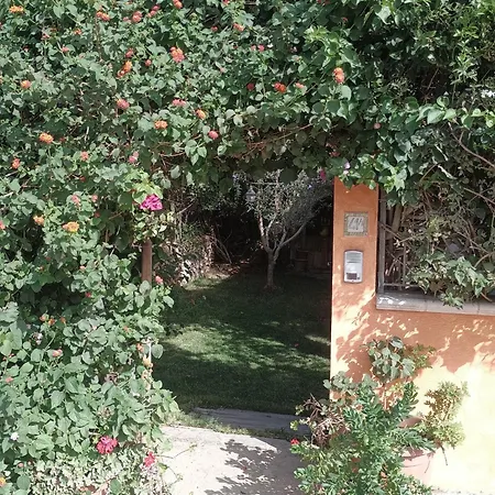Namaste - Porto Pino SantʼAnna Arresi
